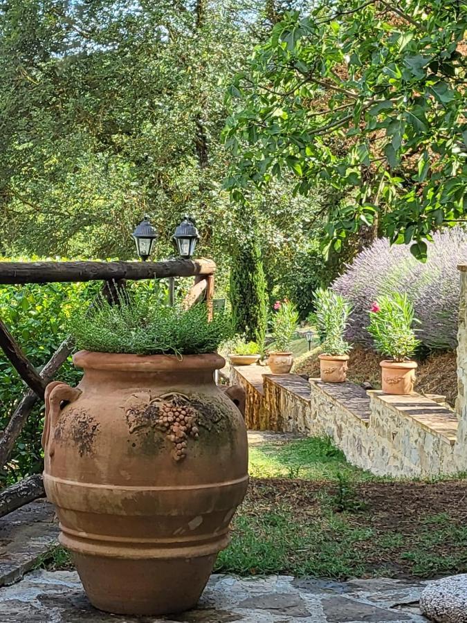 Luxury 1-Bedroom House With The Pool In Tuscany. Anghiari Kültér fotó