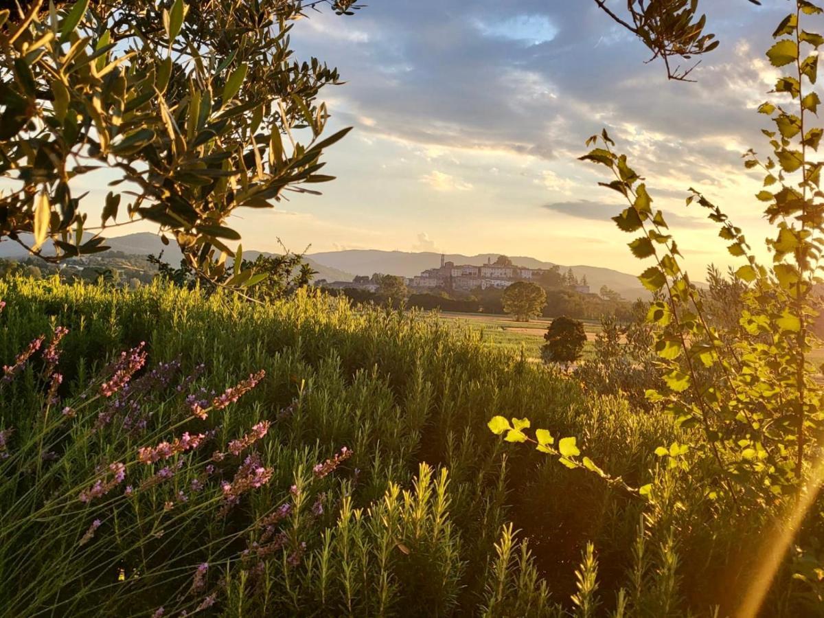 Luxury 1-Bedroom House With The Pool In Tuscany. Anghiari Kültér fotó