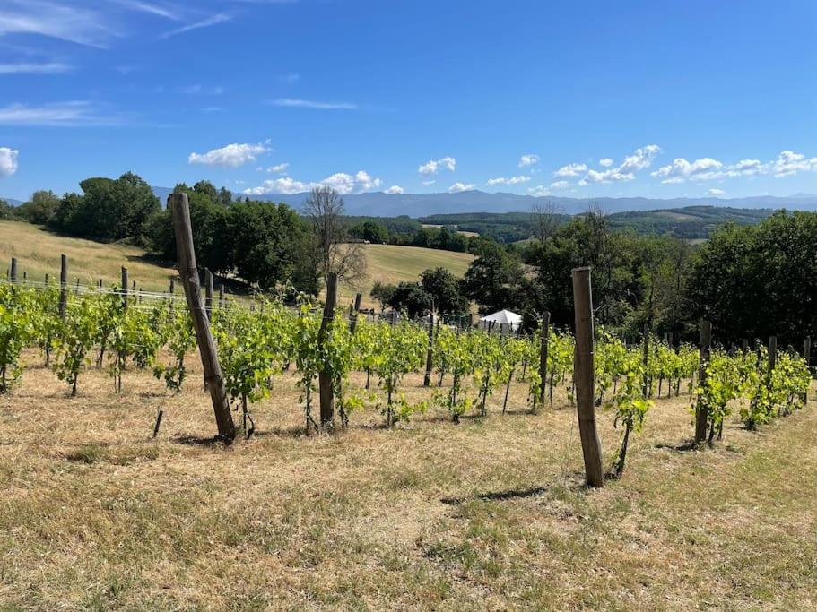 Luxury 1-Bedroom House With The Pool In Tuscany. Anghiari Kültér fotó