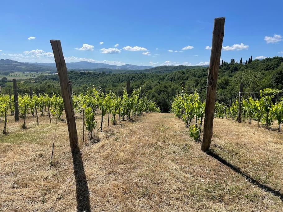 Luxury 1-Bedroom House With The Pool In Tuscany. Anghiari Kültér fotó