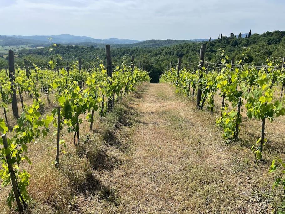 Luxury 1-Bedroom House With The Pool In Tuscany. Anghiari Kültér fotó