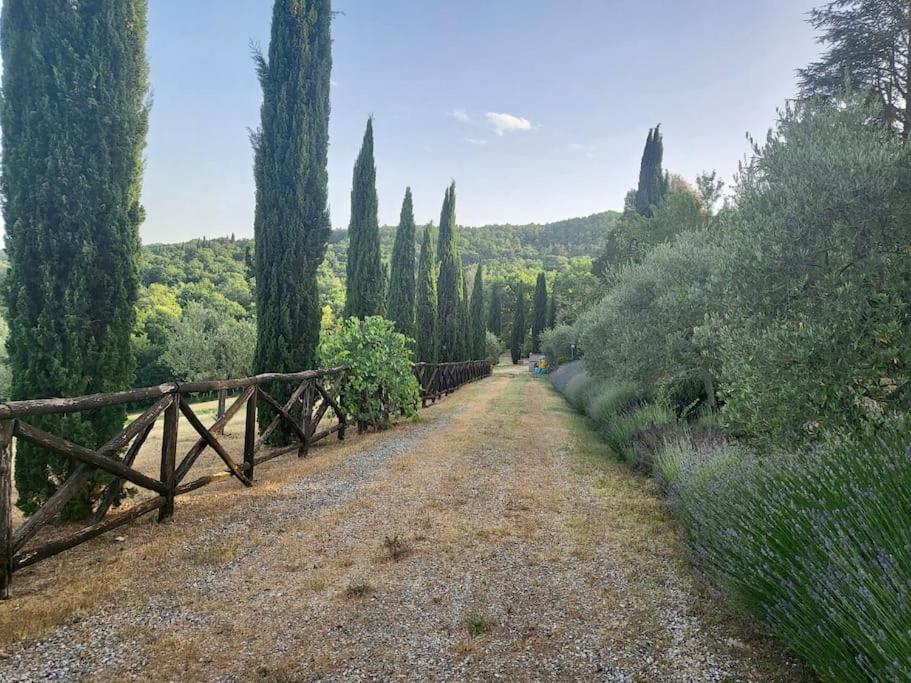 Luxury 1-Bedroom House With The Pool In Tuscany. Anghiari Kültér fotó