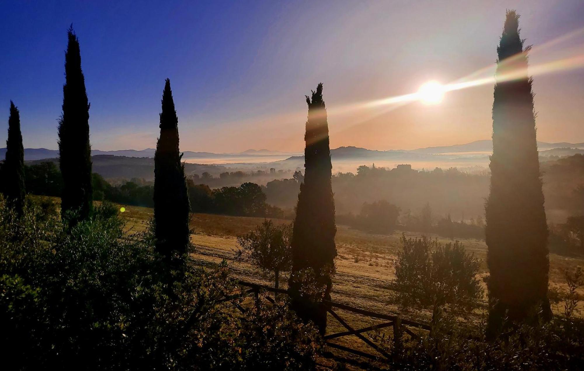 Luxury 1-Bedroom House With The Pool In Tuscany. Anghiari Kültér fotó
