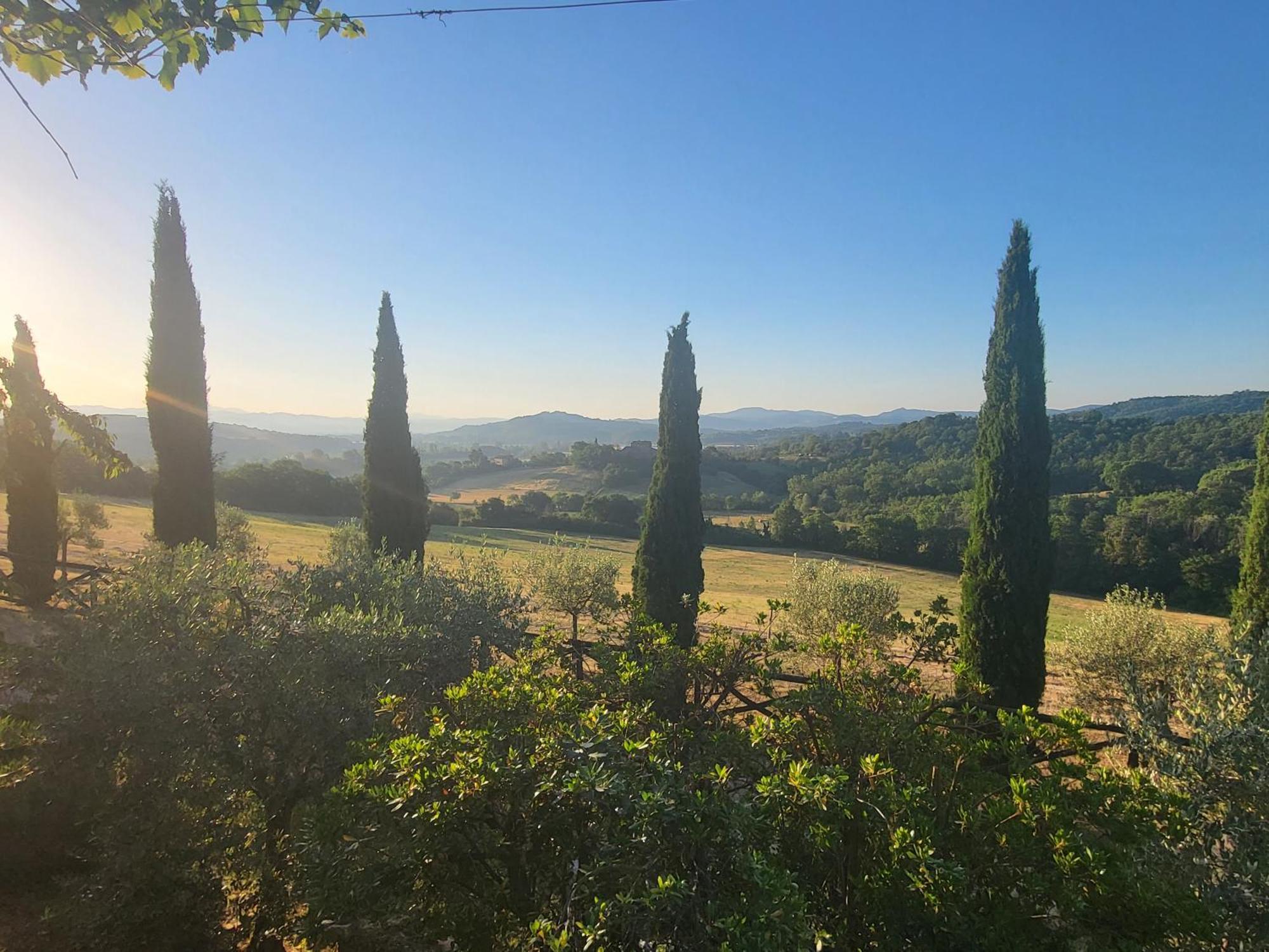 Luxury 1-Bedroom House With The Pool In Tuscany. Anghiari Kültér fotó